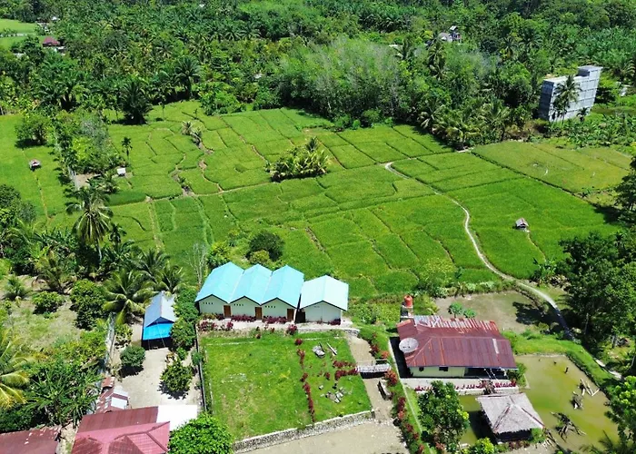 Green Soul Guest House Only Book Trekking With Us